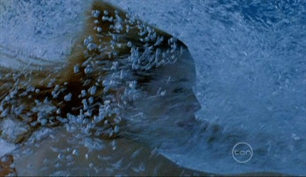 33178573.gif