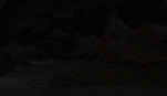 35813626.gif