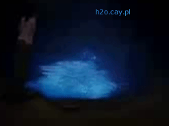 35813703.gif