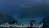 7yhq25z.gif